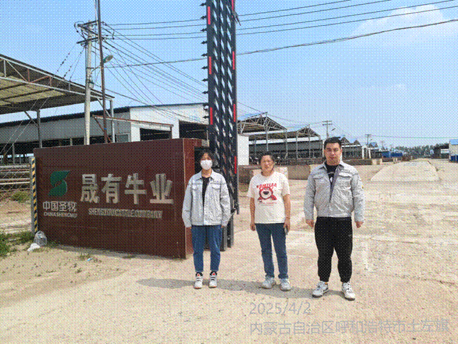 现场调查